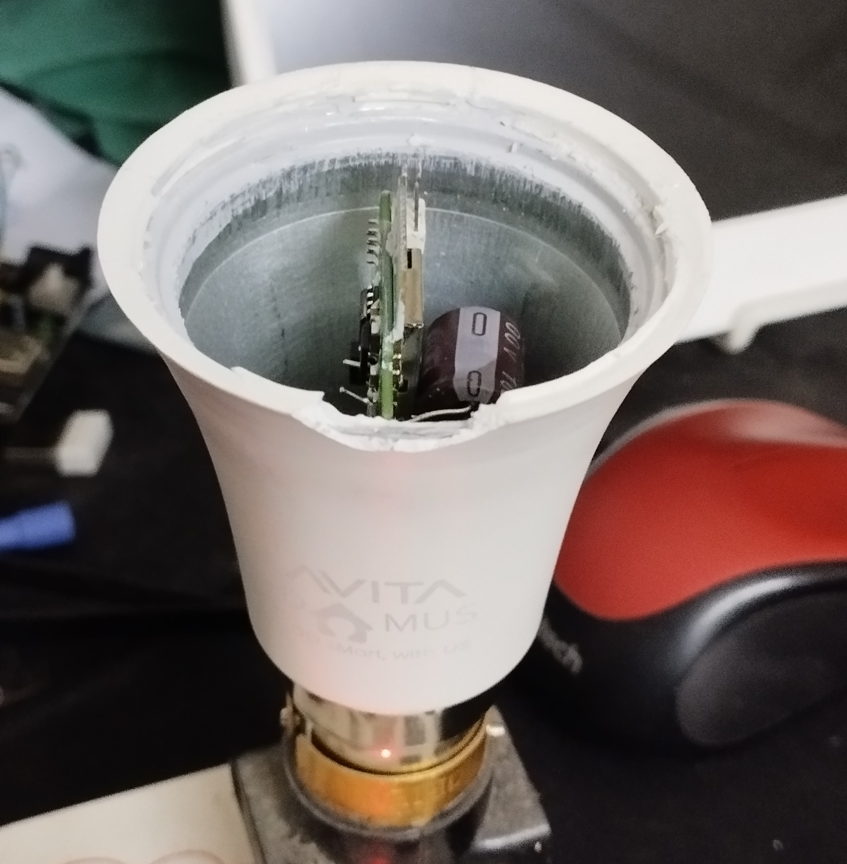 bulb with top part removed bulb with top part removed